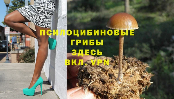 соль курить ск Беслан