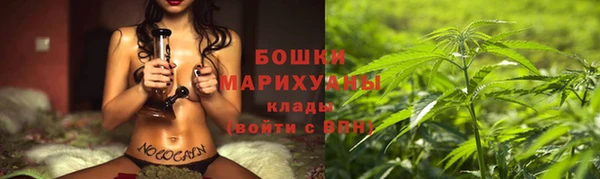 трава Бородино